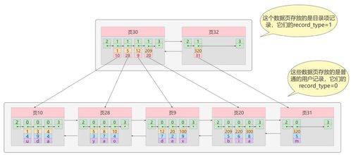 MySQL存儲(chǔ)引擎深度解析 InnoDB與MyISAM的索引數(shù)據(jù)結(jié)構(gòu)及其數(shù)據(jù)處理與存儲(chǔ)服務(wù)